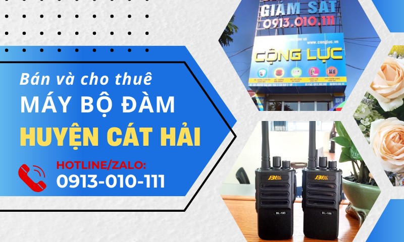 cộng lực bán và cho thuê bộ đàm tại huyện cát hải hải phòng