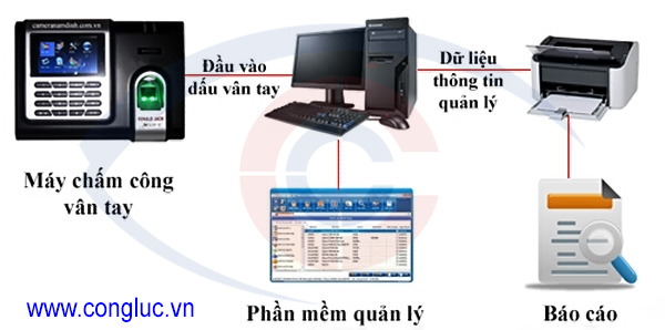 nguyên lý hoạt động của hệ thống máy chấm công