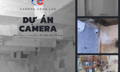 Lắp Đặt Camera Quan Sát Nhà Nuôi Chim Yến Tại Đồ Sơn Hải Phòng