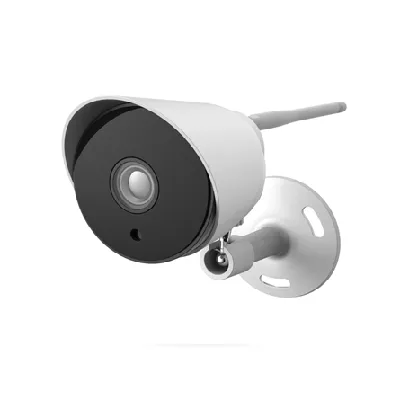 Camera Wifi BLueCam BL200F-W