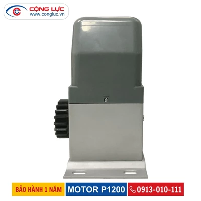 Motor Cổng Lùa Tự Động Dong Rong P1200