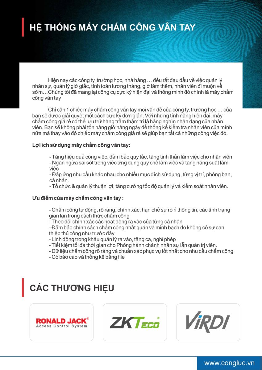 Hồ sơ năng lực công ty cộng lực hải phòng 14