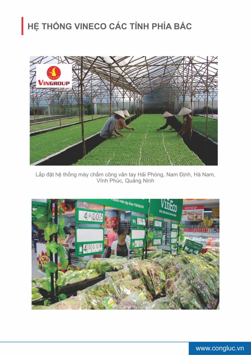 Hồ sơ năng lực công ty cộng lực hải phòng 36