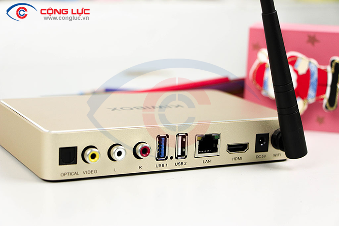 Mặt sau đầu kiwibox s6 plus chính hãng