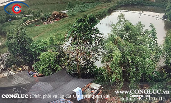 Thi công hệ thống camera Hikvision cho trang trại chăn nuôi tại Thái Bình