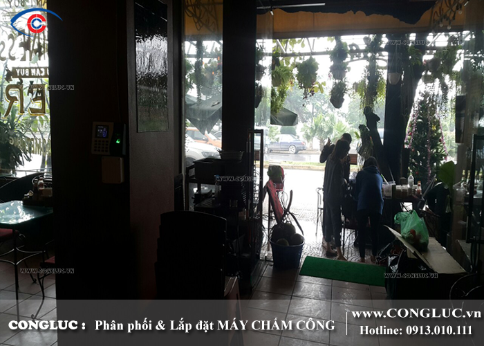 Lắp máy chấm công vân tay tại Cát Bà Hải Phòng cho nhà hàng Oasis Bar